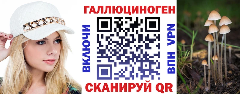 Галлюциногенные грибы мицелий Салаир